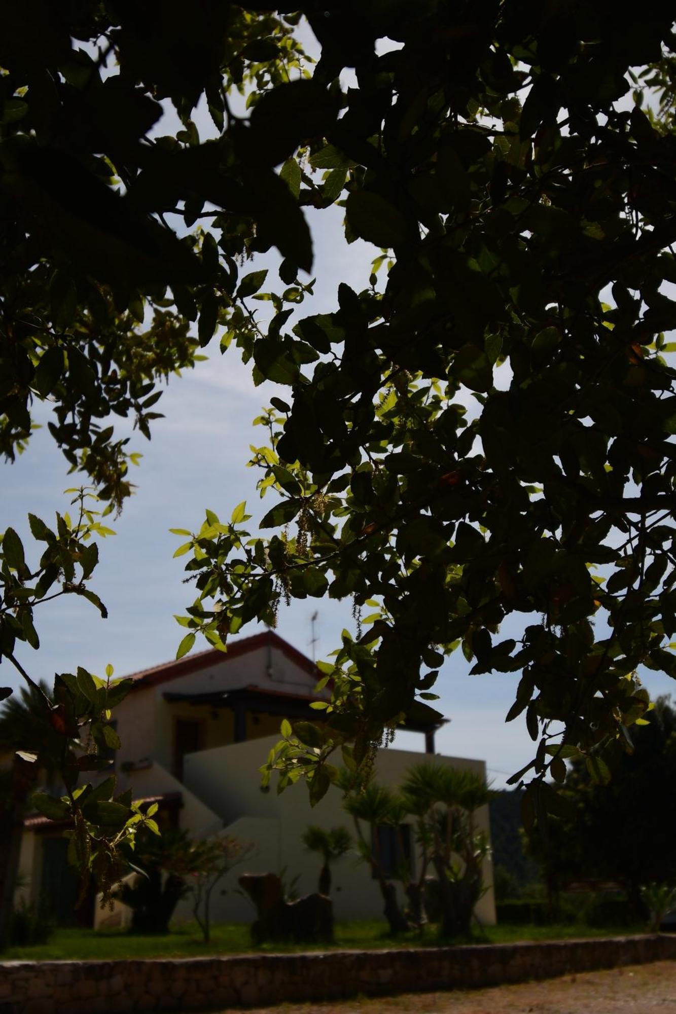 Bentu e Sole Villa Fertilia Exterior foto